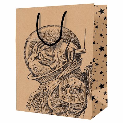 Пакет подарочный 1шт 18*23*10см ArtSpace "Space Cat", крафт 340239