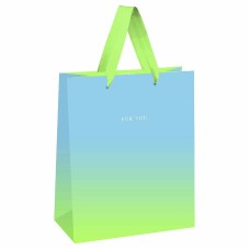 Пакет подарочный 1шт 18*23*10см MESHU "Duotone. Blue-Green gradient", отд. фольгой, матовая ламинация 354621