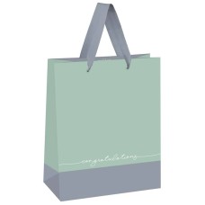 Пакет подарочный 1шт 18*23*10см MESHU "Duotone. Gray-mint", отд. фольгой, матовая ламинация 339784