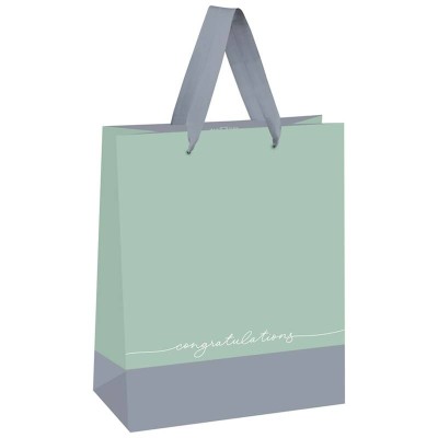 Пакет подарочный 1шт 18*23*10см MESHU "Duotone. Gray-mint", отд. фольгой, матовая ламинация 339784