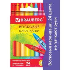 Восковые карандаши BRAUBERG "АКАДЕМИЯ", НАБОР 24 цвета, 227285