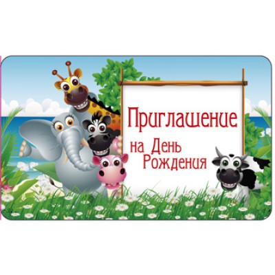 ПМ1-12565 Приглашение на День рождения (детское) 140х85мм Сфера
