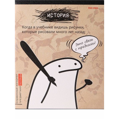 TM Prof-Press Тетрадь КЛЕТКА 48л. 1шт ИСТОРИЯ «Школьные мемасики» (48-9653) стандарт, тиснение холст ПП-00195951