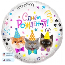 Шар (18\'\'/46 см) Круг, Котики, С Днем Рождения!, 1 шт. в уп. 13344V
