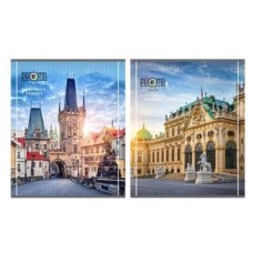 Тетрадь КЛЕТКА 48 л. ЕВРОПЕЙСКИЕ ВИДЫ-3 (48-4647) цвет.мелов.обл. 48-4647