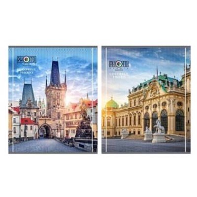 Тетрадь КЛЕТКА 48 л. ЕВРОПЕЙСКИЕ ВИДЫ-3 (48-4647) цвет.мелов.обл. 48-4647