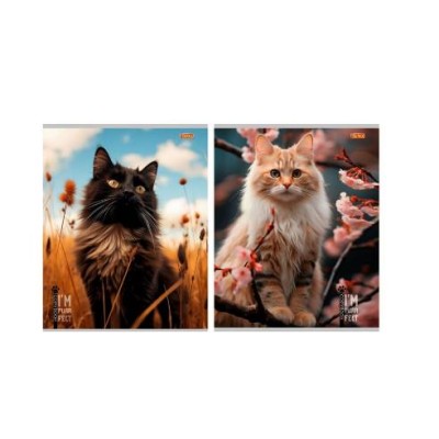Тетрадь КЛЕТКА 96л. КОТЫ И ПРИРОДА (96-9531) обл- мелов.картон, второй блок 96-9531