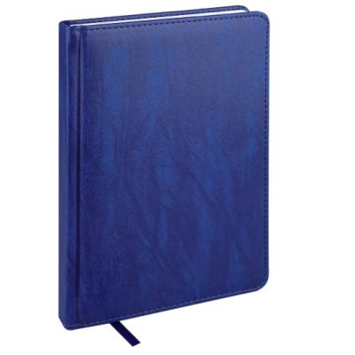 ЕЖЕДНЕВНИК А5, 160л. недатир. EVERYDAY CHRONICLES - BLUE (160-5026) кожзам (синий) 160-5026