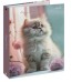 Тетрадь КЛЕТКА 80л. СВЕТЛЫЙ КОТЁНОК И ЦВЕТЫ (Т80-2346) (на кольцах) Т80-2346