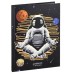 Дневник тв обл 1-4кл, мат/лам, 48л, Calligrata Космонавт 9422407 9422407