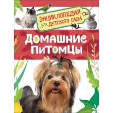 Энциклопедия для детского сада А5 росмэн домашние питомцы
