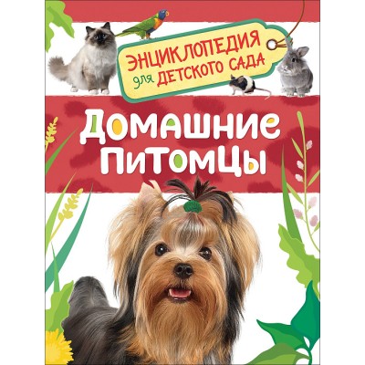 Энциклопедия для детского сада А5 росмэн домашние питомцы