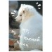 Книга для записей А5 80л "Песец" КанцЭксмо КЗ5803979