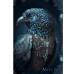 Книга для записей А6 80л "Фантастическая птица" КанцЭксмо КЗФ6804096