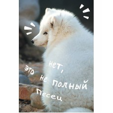 Книга для записей А6 80л "Песец" КанцЭксмо КЗ6804065