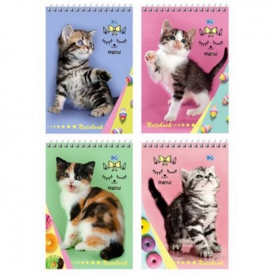 Блокнот А6 гребень 40л. клетка "Meow notebook" (ассорти)