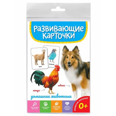 РАЗВИВАЮЩИЕ КАРТОЧКИ. ДОМАШНИЕ ЖИВОТНЫЕ 467-0-159-05284-5