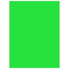 Бумага цветная IQ color, А4, 160 г/м2, 1 лист, интенсив зеленая, MA42