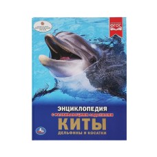 Киты дельфины и косатки Энциклопедия А4 с развивающими заданиями 197х255мм 48 стр Умка 978-5-506-03355-4