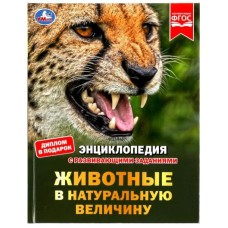 Животные в натуральную величину Энциклопедия с развивающими заданиями 50 стр Умка  978-5-506-07882-1