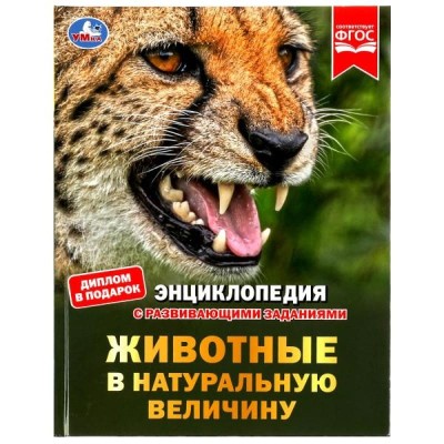 Животные в натуральную величину Энциклопедия с развивающими заданиями 50 стр Умка  978-5-506-07882-1