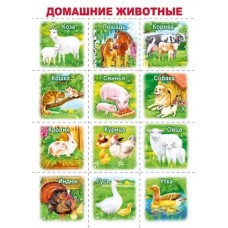 Мини-плакат "Домашние животные", изд.: Горчаков 460326240900871460