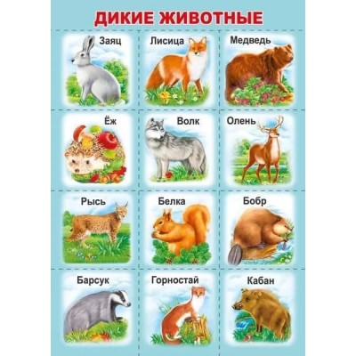 Мини-плакат "Дикие животные", изд.: Горчаков 460326240900871461
