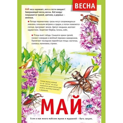 Мини-плакат "12 месяцев: Май", изд.: Горчаков 460326240600771498