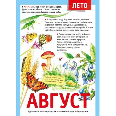 Мини-плакат "12 месяцев: Август", изд.: Горчаков 460326240600771501