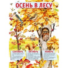 Плакат "Осень в лесу", изд.: Горчаков 460326294100371517