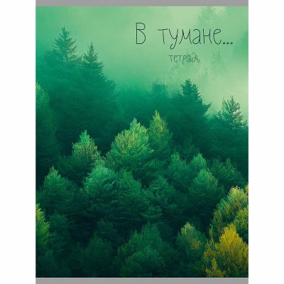Тетрадь (студ., офис) А4 48л "Зеленая туманность" КанцЭксмо Т4485104