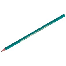 Карандаш ч/г Bic "Evolution" HB, заточен., пластиковый Bic 001081