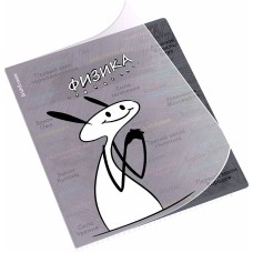 Тетрадь общая ученическая с пластиковой обложкой на скобе ErichKrause Чубрик, Физика, 48 листов, клетка 59472