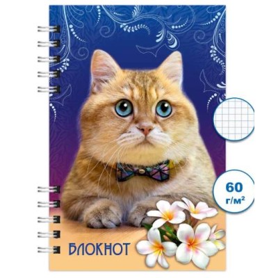 Блокнот спираль 120л А6 Кошки 3 Бг120/10-3