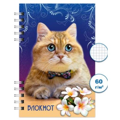 Блокнот спираль 120л А6 Кошки 4 Бг120/10-4