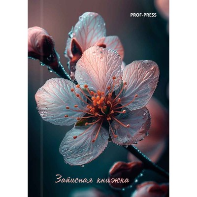 ЗАПИСНАЯ КНИЖКА А7 64л. КРАСИВЫЙ ЦВЕТОК (64-1690) перепл. 7БЦ, глянц.ламинация 64-169
