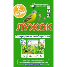 Активный тренинг Гончарова Е.М. ОМ3. Лужок. Природные сообщества Айрис