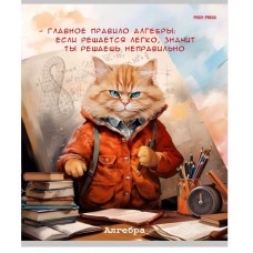 Тетрадь КЛЕТКА 48л. АЛГЕБРА «ЖИЛ БЫЛ КОТ» (Т48-1443) стандарт, б/о TM Prof-Press Т48-1443