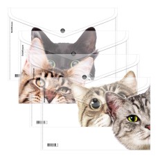 Папка-конверт на кнопке пластиковая ErichKrause Hiding Cats, A4, ассорти 61155