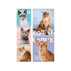 Тетрадь КЛЕТКА 24л. КОТИК НА ЦВЕТНОМ ФОНЕ (24-5770) обл.-мелов. картон, 24-5770