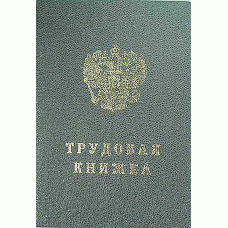 Бланк документа "Книжка трудовая" СПБГОЗНАК 51819 (260034)