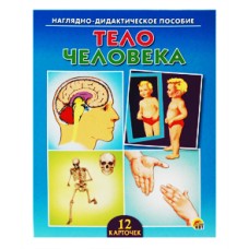 ДИД. ПОСОБИЕ. ТЕЛО ЧЕЛОВЕКА (Арт. ПД-7371)