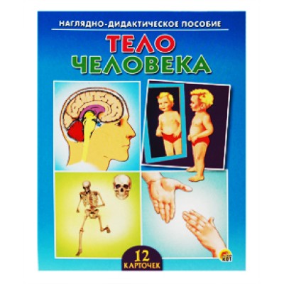 ДИД. ПОСОБИЕ. ТЕЛО ЧЕЛОВЕКА (Арт. ПД-7371)