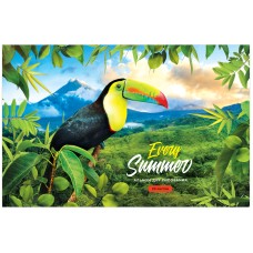 Альбом для рисования 20л., А4, на скрепке ArtSpace "Путешествия. Birds in the jungle" 311556