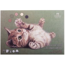 Планшет для пастелей 15л. А4 Лилия Холдинг "Теплые цвета", 160г/м2, 5 цветов, "Холст" Лилия Холдинг 192980