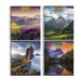 Тетрадь 96л., А5, клетка, Alingar "Nature colours", гребень, мелованный картон (стандарт), блок офсет AL9235