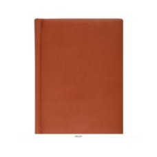 ЕЖЕДНЕВНИК А6, 160л. недатир. ГЛОСС светло-коричневый перепл.кожзам 160Е-8721