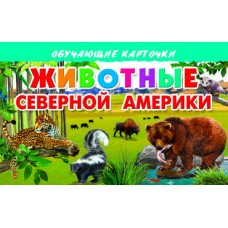 Обучающие карточки  Карточки. Животные Северной Америки