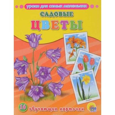 ОБУЧАЮЩИЕ КАРТОЧКИ. САДОВЫЕ ЦВЕТЫ