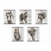 Тетрадь общая ученическая ErichKrause Wild Horse 48 листов клетка 49632